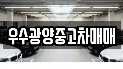 우수광양중고차매매