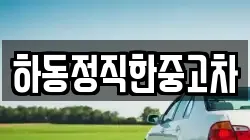 하동정직한중고차
