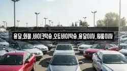 용달,화물,바이크탁송,오토바이탁송,용달이사,원룸이사