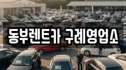 전남 구례군 문척면 렌트카,단기렌트카,장기렌트카,중고차,중고차매매,중고차매입