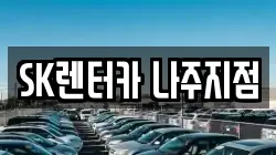 전남 나주시 금계동 렌트카,단기렌트카,장기렌트카,중고차,중고차매매,중고차매입
