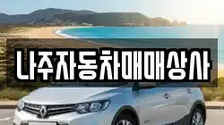 전남 나주시 노안면 렌트카,단기렌트카,장기렌트카,중고차,중고차매매,중고차매입