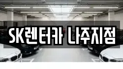 전남 나주시 대호동 렌트카,단기렌트카,장기렌트카,중고차,중고차매매,중고차매입