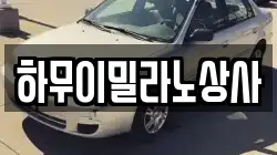 하무이밀라노상사