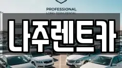 나주렌트카