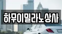 하무이밀라노상사