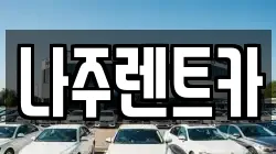 나주렌트카
