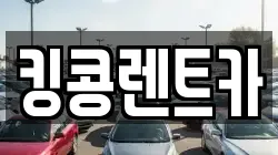 전남 담양군 무정면 렌트카,단기렌트카,장기렌트카,중고차,중고차매매,중고차매입