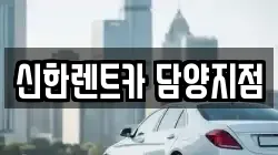 신한렌트카 담양지점