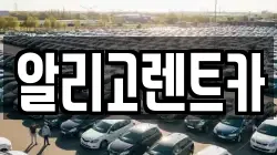 알리고렌트카