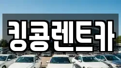 전남 담양군 렌트카,단기렌트카,장기렌트카,중고차,중고차매매,중고차매입