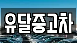 유달중고차