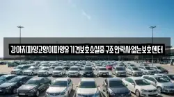 강아지파양고양이파양유기견보호소실종구조안락사없는보호센터