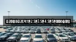 전남 무안군 망운면 렌트카,단기렌트카,장기렌트카,중고차,중고차매매,중고차매입