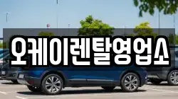 전남 무안군 몽탄면 렌트카,단기렌트카,장기렌트카,중고차,중고차매매,중고차매입