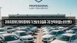 강아지파양고양이파양유기견보호소실종구조안락사없는보호센터