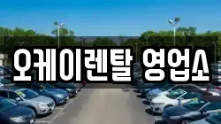 전남 보성군 노동면 렌트카,단기렌트카,장기렌트카,중고차,중고차매매,중고차매입
