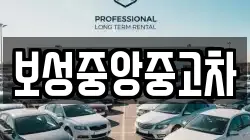 보성중앙중고차