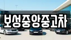 보성중앙중고차