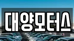 전남 보성군 조성면 렌트카,단기렌트카,장기렌트카,중고차,중고차매매,중고차매입