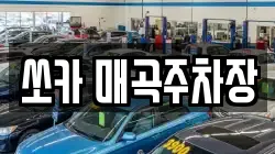쏘카 매곡주차장