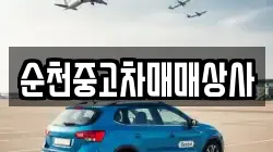 순천중고차매매상사