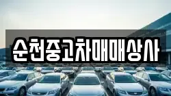 순천중고차매매상사
