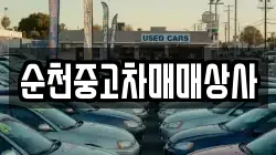 순천중고차매매상사
