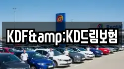KDF&KD드림보험