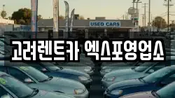 고려렌트카 엑스포영업소