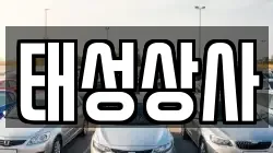 태성상사