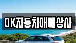 OK자동차매매상사