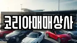 코리아매매상사