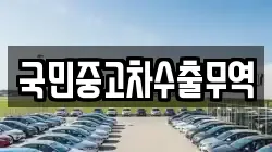국민중고차수출무역