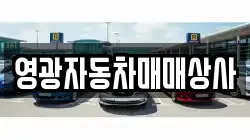 전남 영광군 군남면 렌트카,단기렌트카,장기렌트카,중고차,중고차매매,중고차매입