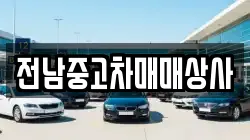 전남 영암군 금정면 렌트카,단기렌트카,장기렌트카,중고차,중고차매매,중고차매입