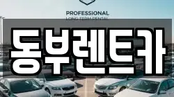 전남 완도군 군외면 렌트카,단기렌트카,장기렌트카,중고차,중고차매매,중고차매입