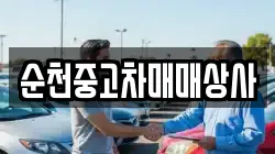 전남 완도군 금일읍 렌트카,단기렌트카,장기렌트카,중고차,중고차매매,중고차매입
