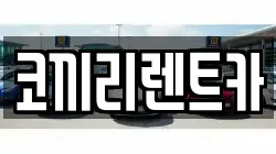 코끼리렌트카