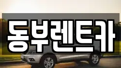 전남 완도군 완도읍 렌트카,단기렌트카,장기렌트카,중고차,중고차매매,중고차매입
