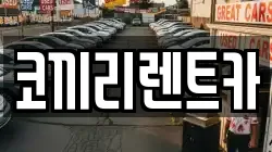 코끼리렌트카