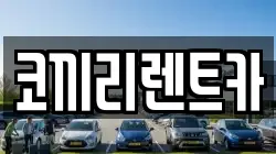 코끼리렌트카