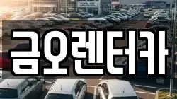 전남 장성군 장성읍 렌트카,단기렌트카,장기렌트카,중고차,중고차매매,중고차매입