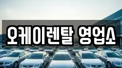 전남 장성군 황룡면 렌트카,단기렌트카,장기렌트카,중고차,중고차매매,중고차매입