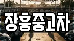 장흥중고차