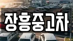 장흥중고차