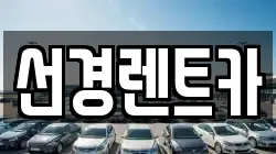 선경렌트카