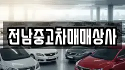 전남 함평군 신광면 렌트카,단기렌트카,장기렌트카,중고차,중고차매매,중고차매입