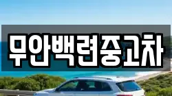 무안백련중고차