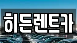 전남 함평군 렌트카,단기렌트카,장기렌트카,중고차,중고차매매,중고차매입